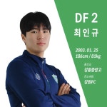 최인규(축구선수) - 나무위키 최인규(축구선수)