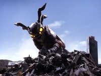 박명유수 이페메라 - 나무위키 박명유수 이페메라