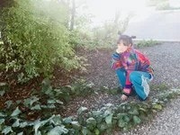 이코마 리나 - 나무위키 이코마 리나