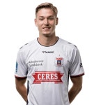 옐러 다윈 - 나무위키 옐러 다윈