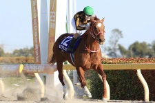 모즈 애스콧 - 나무위키 모즈 애스콧