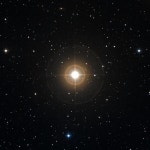 릴리 보레아 - 나무위키 릴리 보레아