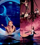 시에라 보게스 - 나무위키 시에라 보게스