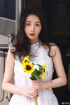 류옌 - 나무위키 류옌