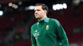 아담 설러이 - 나무위키 아담 설러이