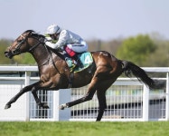 팰리스 피어 - 나무위키 팰리스 피어