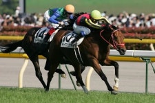 딥 브릴란테 - 나무위키