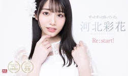 카와키타 사이카 - 나무위키 카와키타 사이카