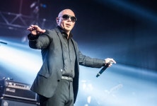 Pitbull - 나무위키 Pitbull