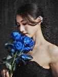 제인 웡 - 나무위키 제인 웡