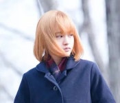 미스미소우 - 나무위키 미스미소우