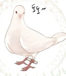 레일라 르웰린 - 나무위키 레일라 르웰린