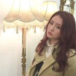 스가야 리사코 - 나무위키 스가야 리사코