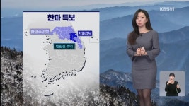 KBS 뉴스 9 - 나무위키 KBS 뉴스 9