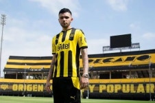 프랑코 곤살레스 - 나무위키 프랑코 곤살레스