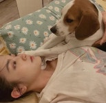 왕정(배우) - 나무위키 왕정(배우)