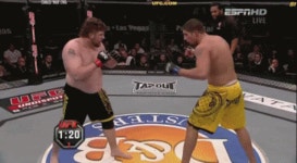 로이 넬슨 - 나무위키 로이 넬슨