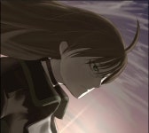 앤 마이어 - 나무위키 앤 마이어