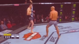 라이언 홀 - 나무위키 라이언 홀