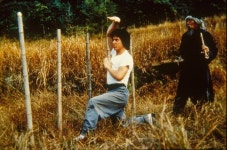 Pin page 성룡.원소전 | Action movie stars, Jackie chan, Asian fil...