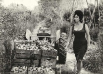 Isabel Sarli 1962 | 배우