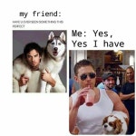 Kayley에 관한 37개의 최상의 Pinterest 이미지 | 웃긴 것, Eric northman 및 배우...