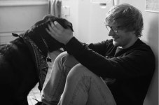 sheeran에 관한 35개의 최상의 Pinterest 이미지 | 가수, 유명인 및 에드 시런 sheeran