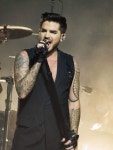 Pin by 소영 정 on A. Lambert | Adam lambert, Adams, Queen