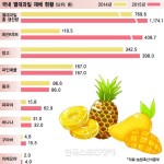 활발해지는 열대과일 농사…제주도에서 ‘파파야’ 먹는다 - 한국스포츠경제 | Fruit, Pineapple