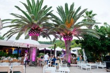 Under the #palmtrees. #Restaurant La Escollera, #Ibiza www.laescolleraibiza.com www.facebook.com/laescolleraibiza | Outdoor cafe... 