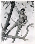 Pin page CORNEL WILDE Swashbuckling Star에 있는 Daniel Figueroa...