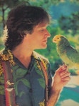 Robin에 관한 38개의 최상의 Pinterest 이미지 | Robins, 연예인 및 유명인사 Robin
