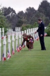WHITE HOUSE에 관한 51개의 최상의 Pinterest 이미지 | 미국 역사, First ladies...