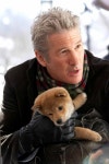I ♥ Richard!에 관한 9개의 최상의 Pinterest 이미지 | 배우, 시바견 및 애완동물 I ♥ ...