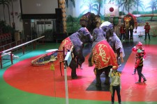 점보빌리지  코끼리공연 | 역사