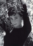 Audrey | 오드리 햅번, 영화 포스터, 배우
