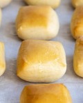 Copy Cat Texas Road House Rolls - Like Mother Like Daughter | Recipe in 2023 | Food recipies, Sweet roll, Food
