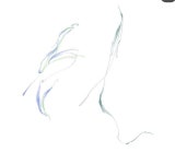 타투에 있는 Jjhhj님의 핀 - 2022 | 타투 아티스트, 문신 아이디어, 타투