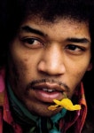 jimi hendrix | 지미 헨드릭스
