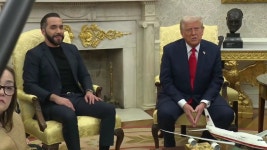 엘살바도르 대통령 트럼프 라이브 시작 - 미국 정치 마이너 갤러리