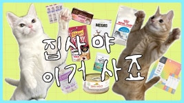 애완동물 키우는거 좋아하는 유튜버 추천해줄까? - 멍멍이 갤러리