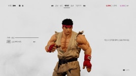 류