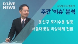 김상일 평론가는