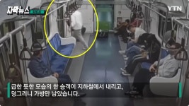 일본 가부키 배우 근황jpg