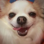 故칸다 사야카 성우의 전 남편도 엄청 기분이 착잡하겠지. | 유머 게시판 故칸다 사야카 성우의 전 남편도 엄...