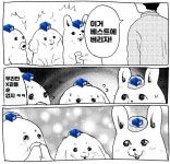 ㅈ토피아가 베스트가는 이유