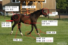 말딸)딴 애니였으면 각본가 개쌍욕 처먹었을 시나리오 | 유머 게시판 말딸)딴 애니였으면 각본가 개쌍욕 처먹었...