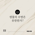 죽음의 죽음 | 호세 코르데이로.데이비드 우드 | 알라딘 죽음의 죽음 | 호세 코르데이로.데이비드 우드