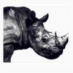 Mr.Children 1992-1995 - 벅스 Mr.Children 1992-1995 / Mr. Child...