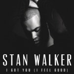 I Got You (I Feel Good)/Stan Walker(스탠 워커) - 벅스 I Got You (I...